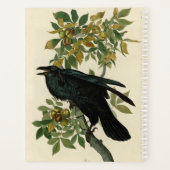 Audubon Raven Oiseau classique (Dos)