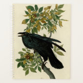 Audubon Raven Oiseau classique (Devant)