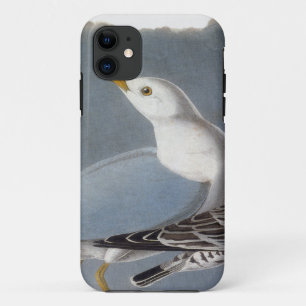 Audubon: Ring-buikmeeuw iPhone 11 Hoesje