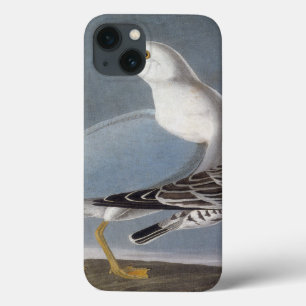 Audubon: Ring-gefactureerde Zeemeeuw iPhone 13 Hoesje