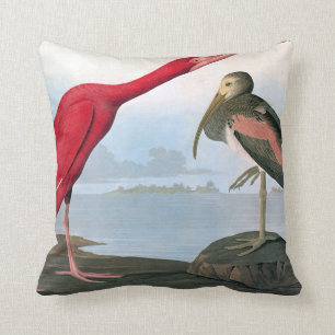 Audubon: Rode Ibis Kussen