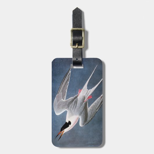 Audubon: Roseate Tern Bagagelabel (Voorkant verticaal)