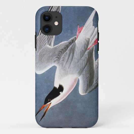 Audubon: Roseate Tern Case-Mate iPhone Case (Achterkant)