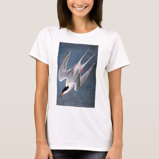 Audubon: Roseate Tern T-shirt (Voorkant)