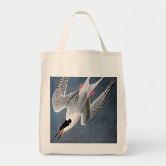 Audubon: Roseate Tern Tote Bag (Voorkant)