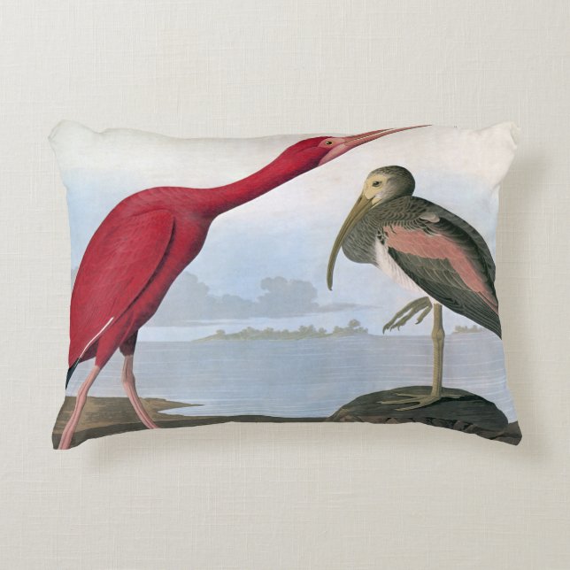 Audubon: Scarlet Ibis Decoratief Kussen (Voorkant)