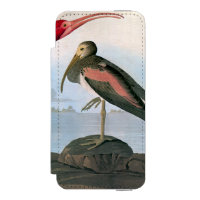 Audubon: Scarlet Ibis