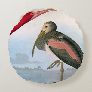 Audubon: Scarlet Ibis Rond Kussen