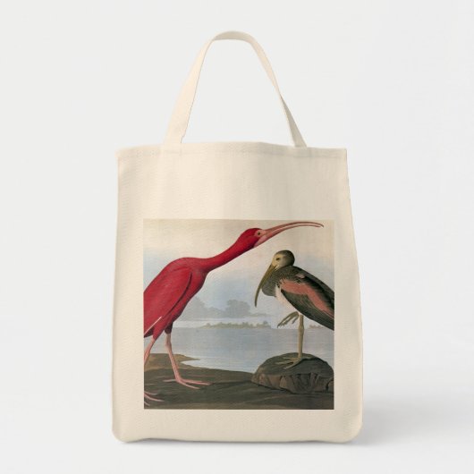Audubon: Scarlet Ibis Tote Bag (Voorkant)