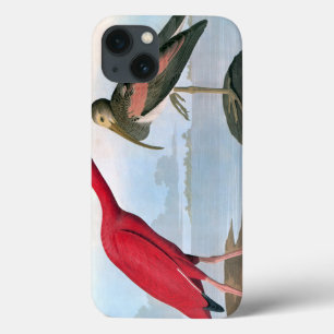 Audubon: Scharlaken Ibis iPhone 13 Hoesje