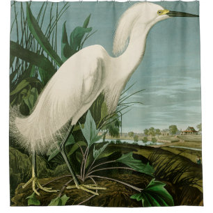 Audubon Sneeuwreiger Witte Reiger Vogel Vogels kij Douchegordijn
