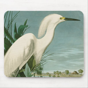 Audubon Sneeuwreiger Witte Reiger Vogel Vogels kij Muismat