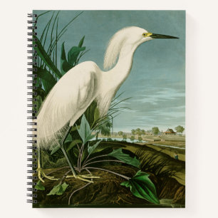 Audubon Sneeuwreiger Witte Reiger Vogel Vogels kij Notitieboek