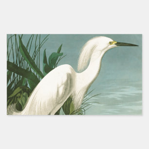 Audubon Sneeuwreiger Witte Reiger Vogel Vogels kij Rechthoekige Sticker