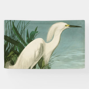 Audubon Sneeuwreiger Witte Reiger Vogel Vogels kij Spandoek