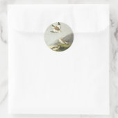 Audubon Snow Bunting Bird Art Stickers (Tas)