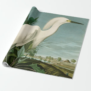 Audubon Snowy Heron White Gret Vogel Vogel Cadeaupapier