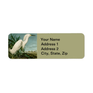 Audubon Snowy Heron White Gret Vogel Vogel Etiket