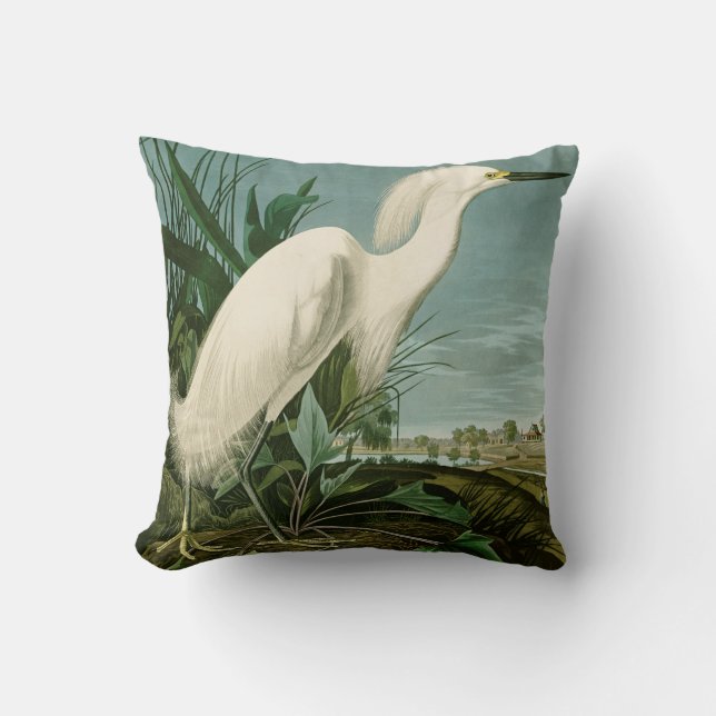 Audubon Snowy Heron White Gret Vogel Vogel Kussen (Voorkant)