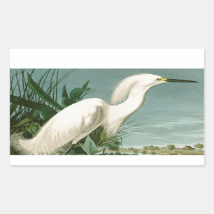 Audubon Snowy Heron White Gret Vogel Vogel Rechthoekige Sticker