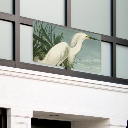 Audubon Snowy Heron White Gret Vogel Vogel Spandoek (Buitenkant Gebouw)