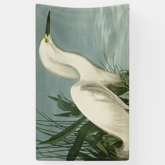 Audubon Snowy Heron White Gret Vogel Vogel Spandoek (Verticaal)