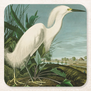 Audubon Snowy Heron White Gret Vogel Vogel Vierkante Kartonnen Onderzetter