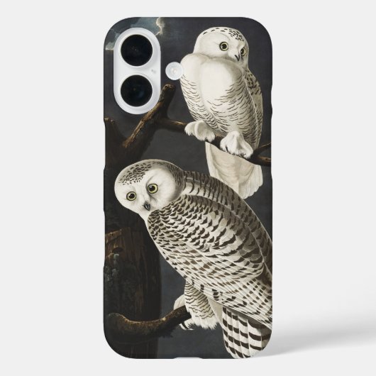 Audubon Snowy Owl Bird Artwork Case-Mate iPhone Case (Achterkant)