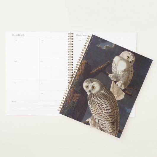 Audubon Snowy White Owls on a Dark Cloudy Night (Devant avec enveloppe)