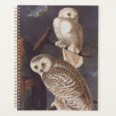 Audubon Snowy White Owls on a Dark Cloudy Night (Devant)