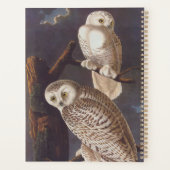 Audubon Snowy White Owls on a Dark Cloudy Night Planner (Achterkant)