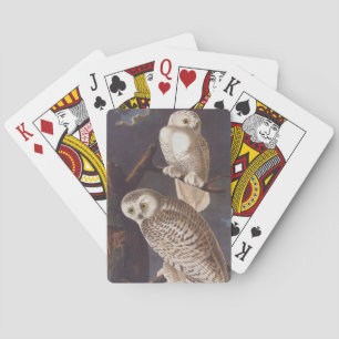 Audubon Snowy White Ownership on a Dark Cloudy Nig Speelkaarten