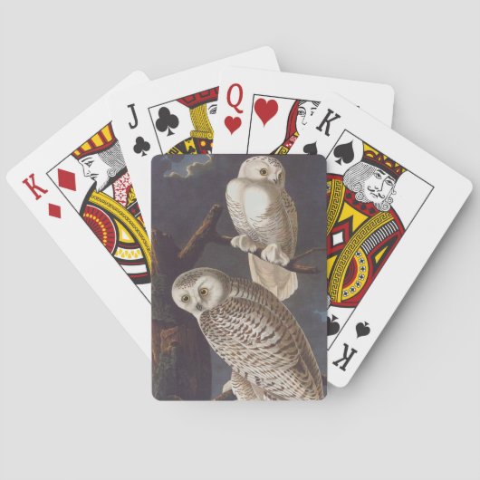 Audubon Snowy White Ownership on a Dark Cloudy Nig Speelkaarten (Achterkant)