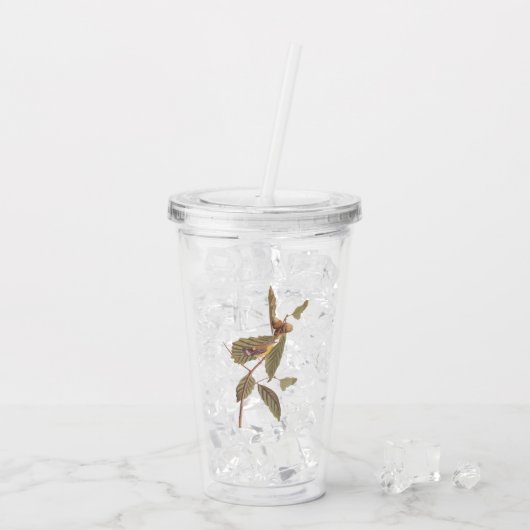 Audubon Swainson's Warbler Bird op Oak Branch Acryl Drinkbeker (Achterkant ijs)