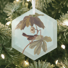 Audubon Swamp Sparrow Bird op Wild Mandrake Glas Ornament