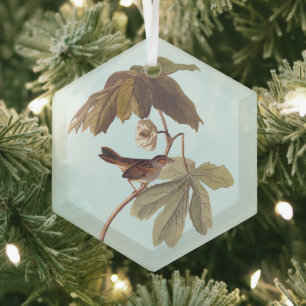Audubon Swamp Sparrow Bird op Wild Mandrake Glas Ornament