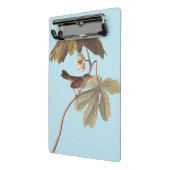 Audubon Swamp Sparrow Bird op Wild Mandrake Mini Klembord (Angled2)