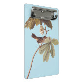 Audubon Swamp Sparrow Bird op Wild Mandrake Mini Klembord (Schuin)