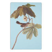 Audubon Swamp Sparrow Bird op Wild Mandrake Mini Klembord (Achterkant)