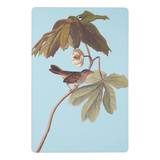 Audubon Swamp Sparrow Bird op Wild Mandrake Mini Klembord (Achterkant)
