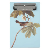 Audubon Swamp Sparrow Bird op Wild Mandrake Mini Klembord (Voorkant)