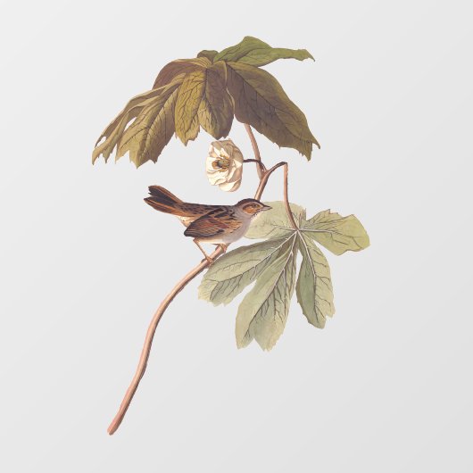 Audubon Swamp Sparrow Bird op Wild Mandrake Raamsticker (Vel)