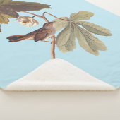 Audubon Swamp Sparrow Bird op Wild Mandrake Sherpa Deken (3/4)