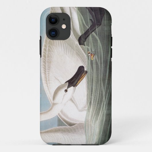Audubon: Trumpeter Swan Case-Mate iPhone Case (Achterkant)