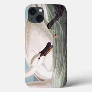 Audubon: Trumpeter Swan iPhone 13 Hoesje