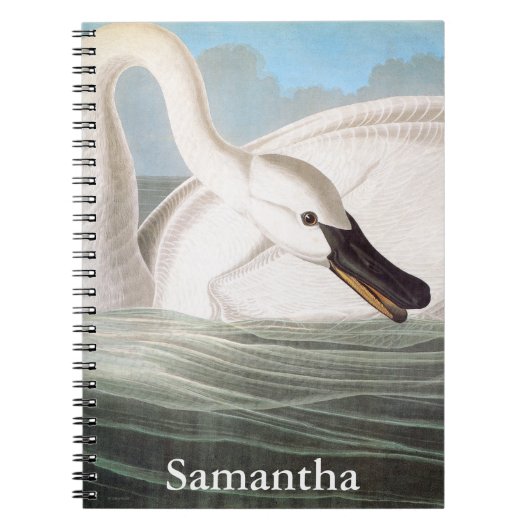 Audubon: Trumpeter Swan Notitieboek (Voorkant)