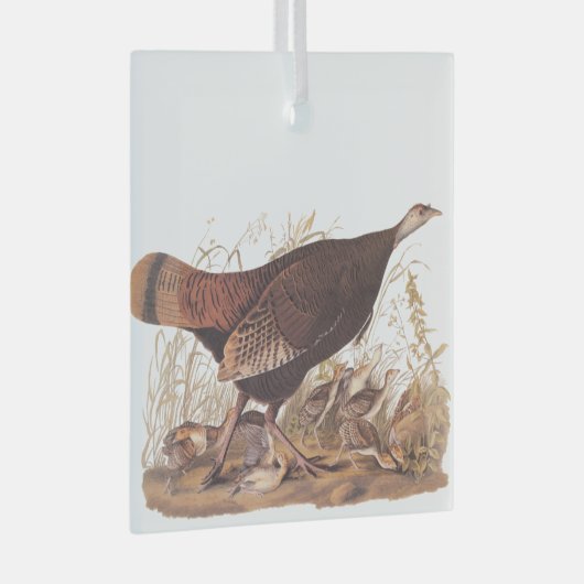 Audubon Turkey Hen and Chicken in herfst Glas Ornament (Voorkant Rechts)