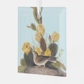 Audubon Vesper Sparrow en Prickly Pear Cactus Glas Ornament (Voorkant links)