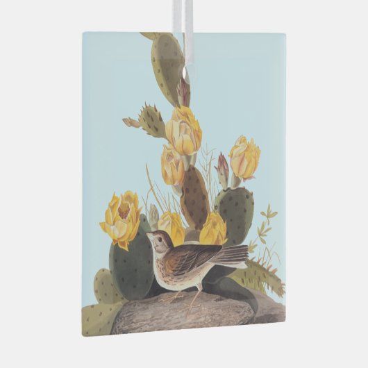 Audubon Vesper Sparrow en Prickly Pear Cactus Glas Ornament (Voorkant Rechts)
