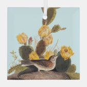 Audubon Vesper Sparrow en Prickly Pear Cactus Glas Ornament (Achterkant)